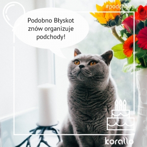 Podchody w korallo