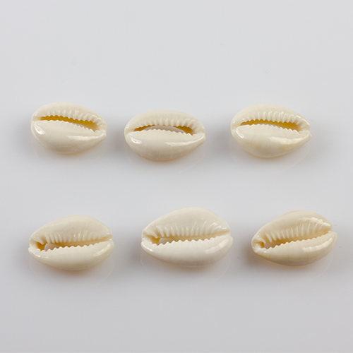 bransoletka z muszelek kauri