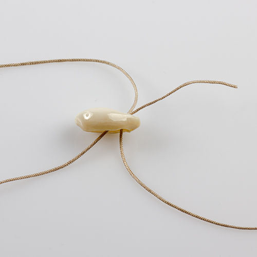 bransoletka z muszelek kauri