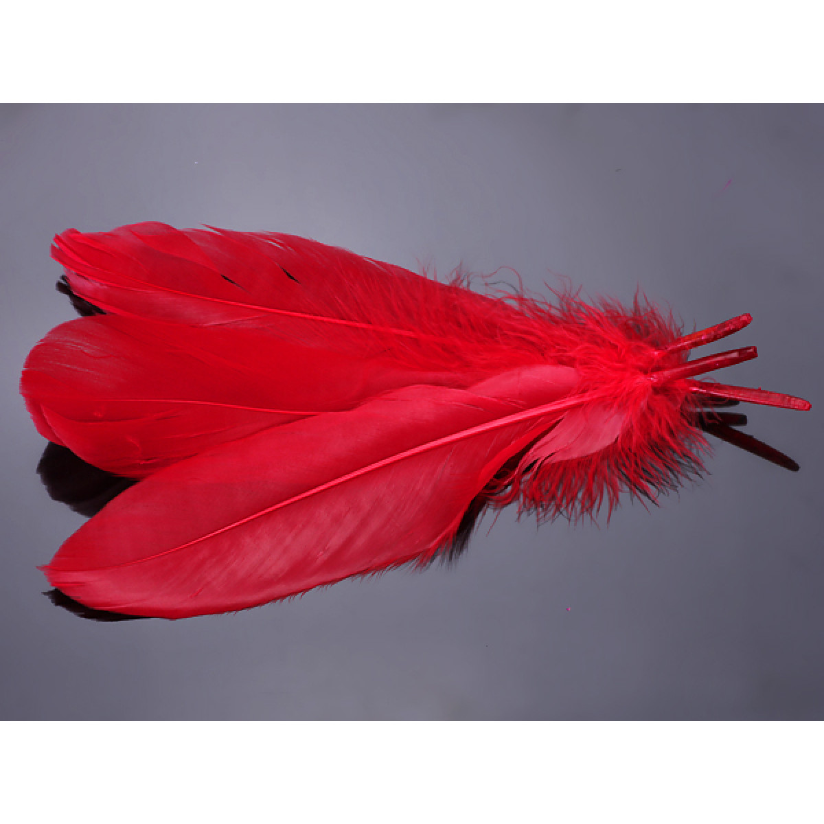 czerwone pióro naturalne, RP0016