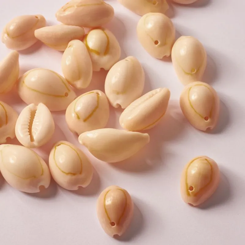 Muszle naturalne Kauri z jedną dziurką 15-20 mm [MM0013]